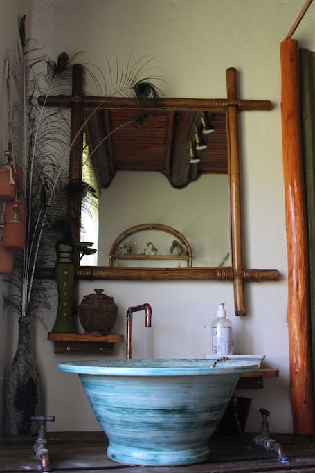 Safari basin detail