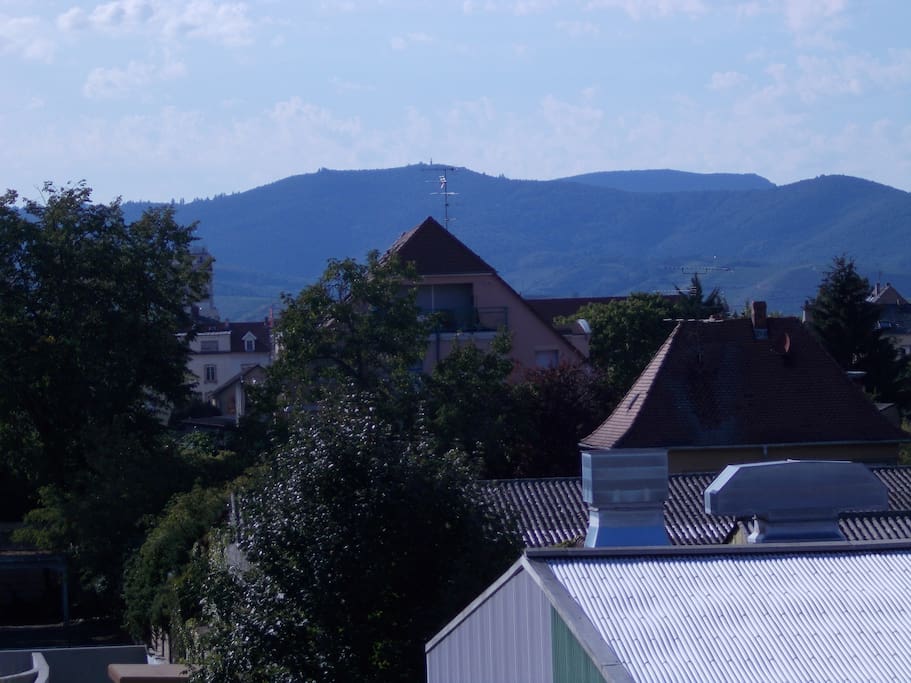 les collines vosgiennes côté ouest