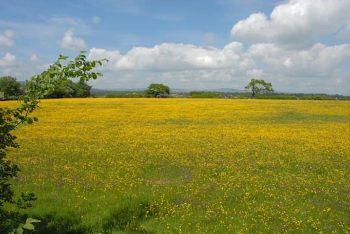 Wonderful Ribble View Mews