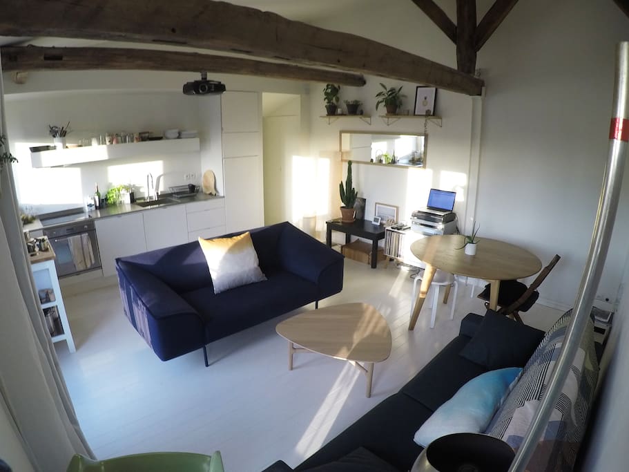 Living Room / Kitchen