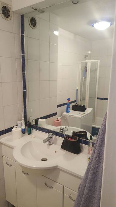 Bathroom/bath/dishwasher