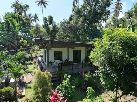 Andrei’s Holiday House