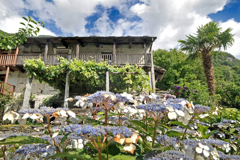 Ansicht vom Garten, mit Sicht auf Pergola und Balkon