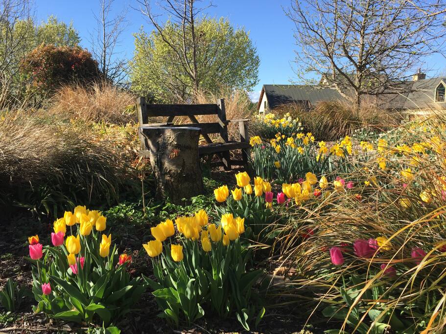 Garden Seat in Spring