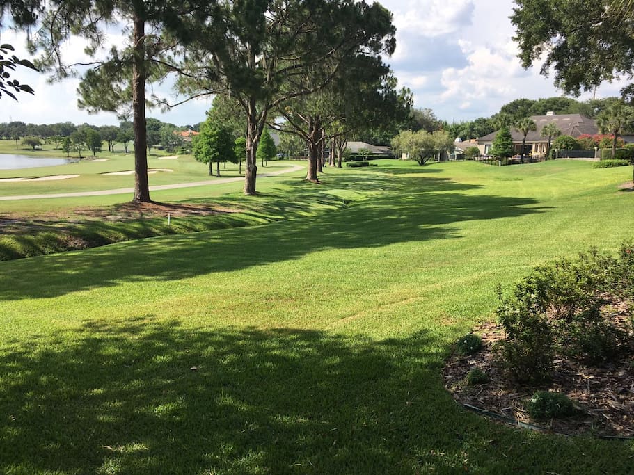 Golf field