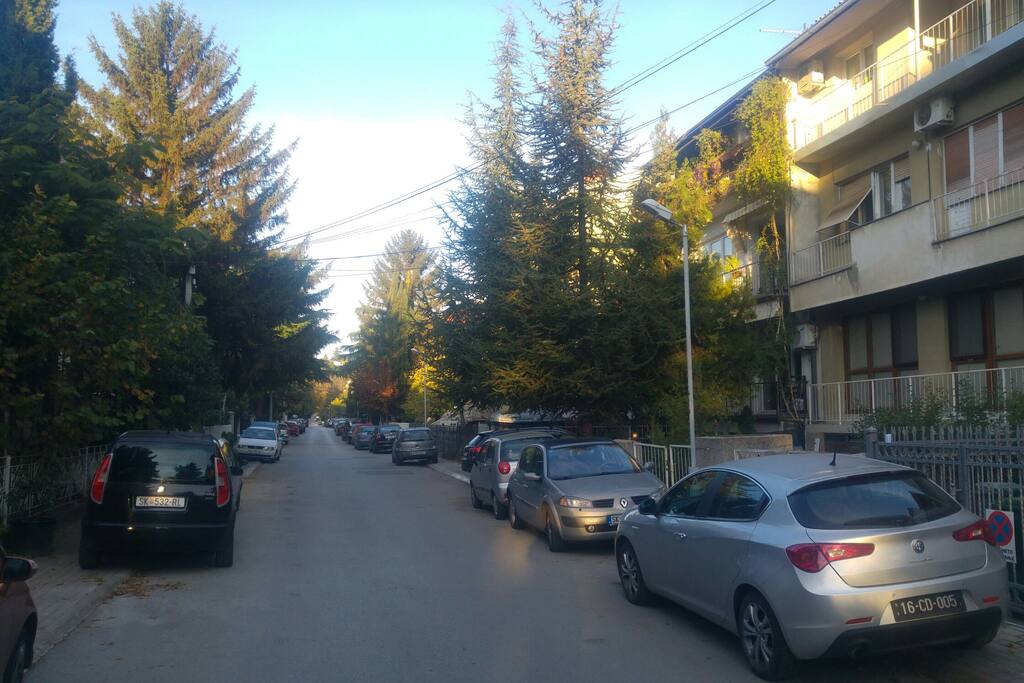 The house and the street. Eastern view
