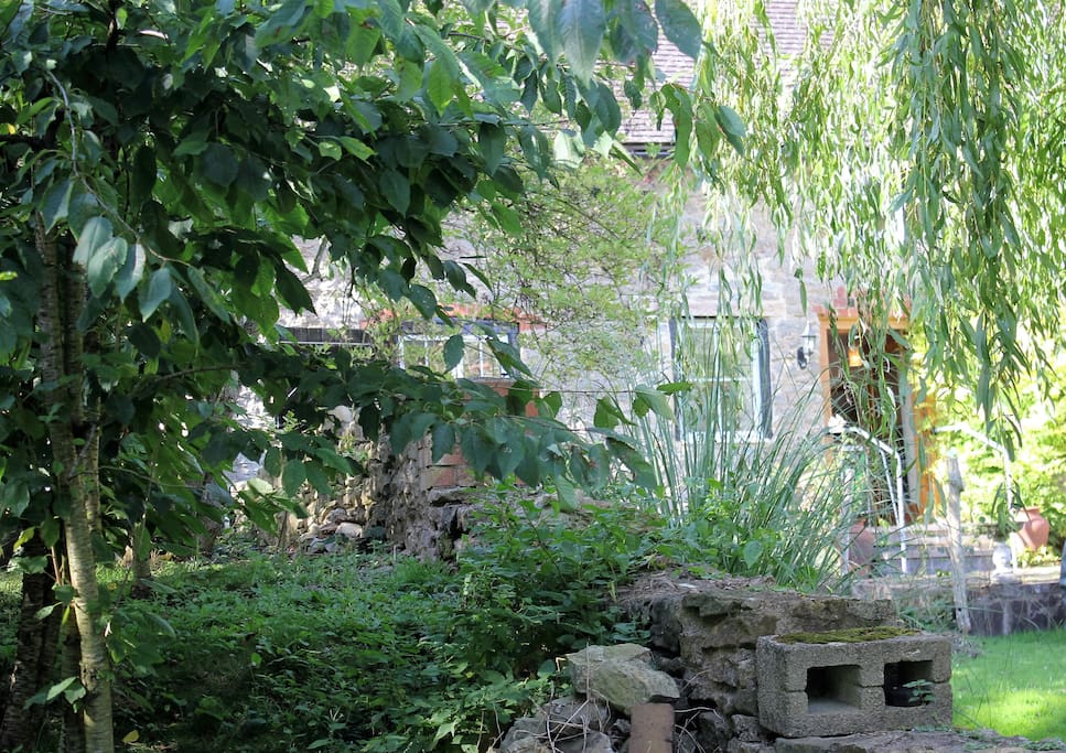 The Garden outside in Summer