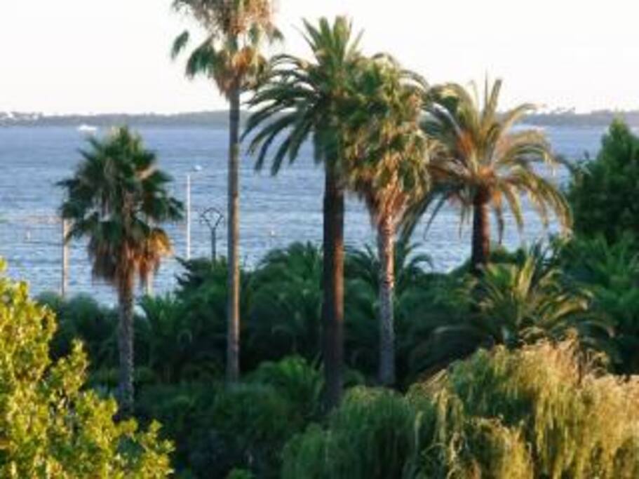 View from Balcony