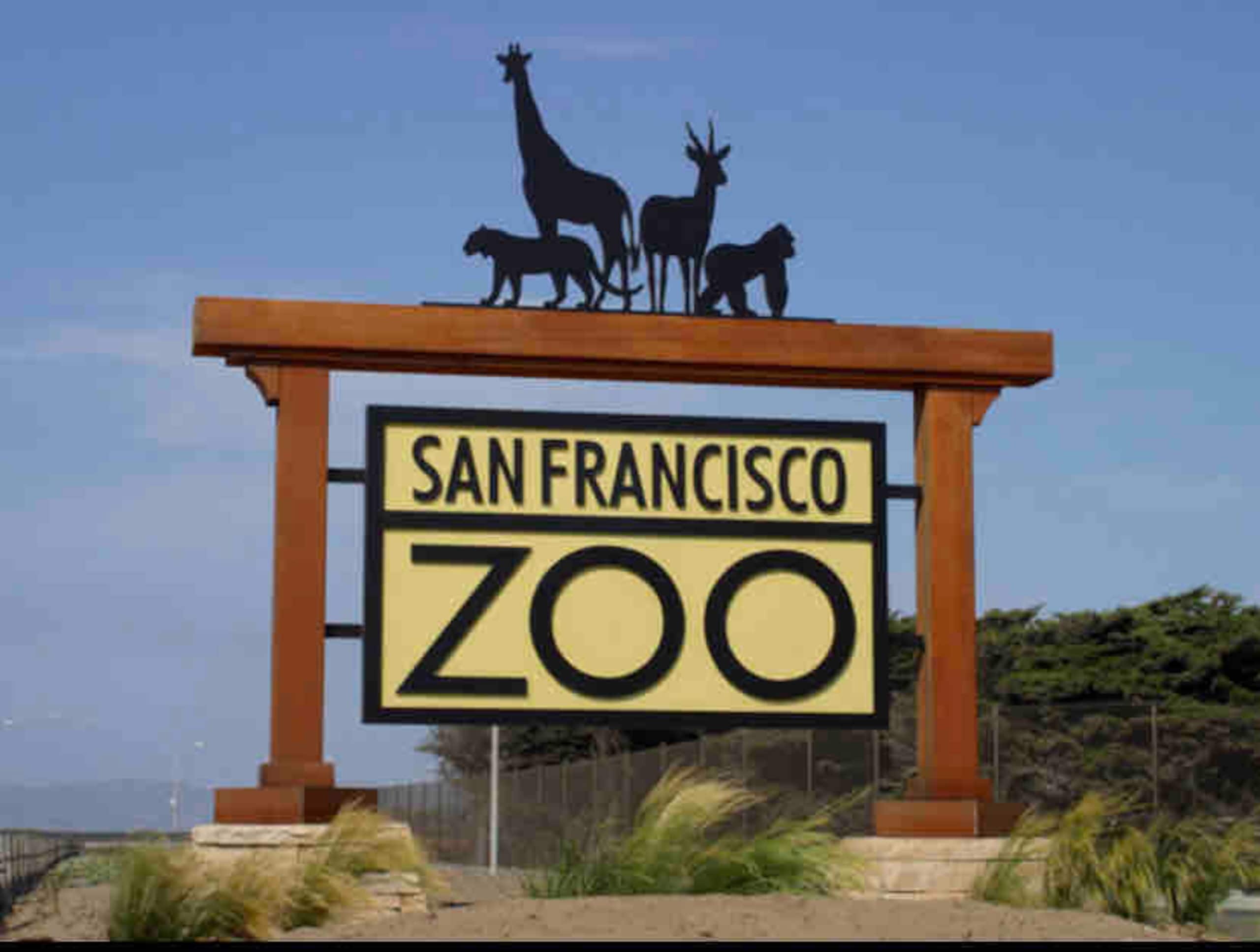 Home in San Francisco · ★4.96 · 3 bedrooms · 4 beds · 1.5 baths - Image 57