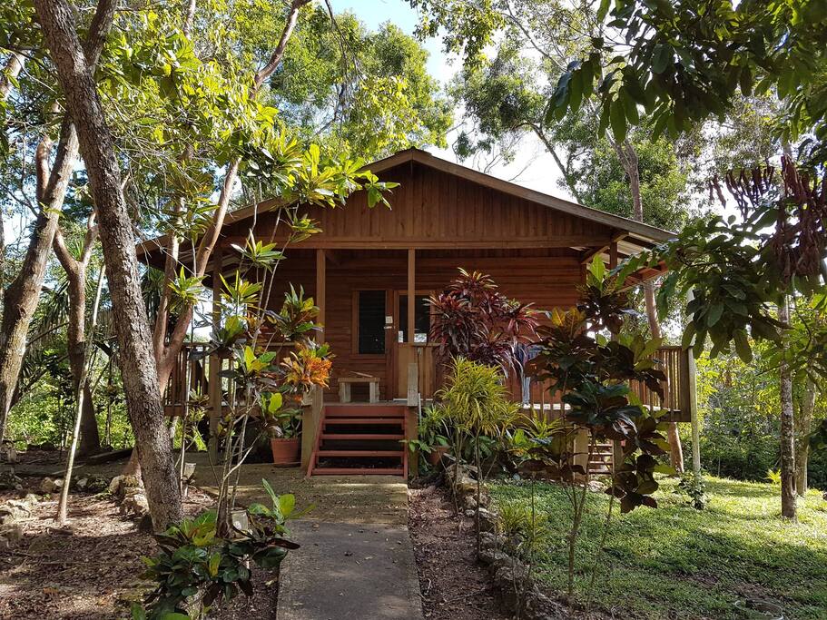 Hibiscus dorm cabana with 40ftx20ft brand new swimming pool!