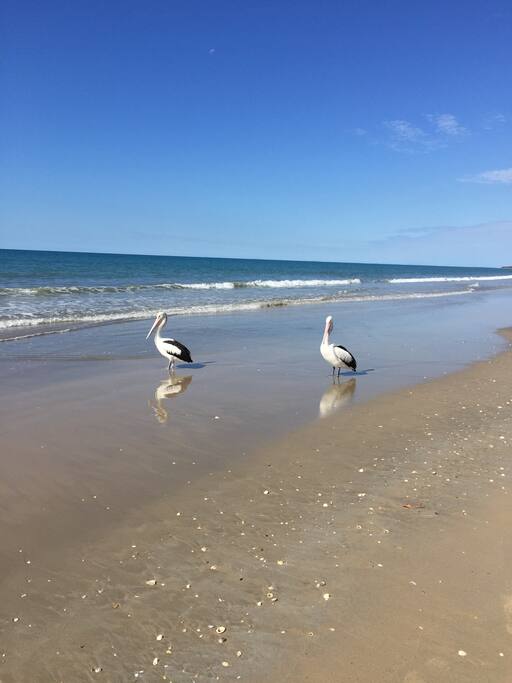 Our beach