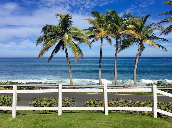 Camuy Holiday Rentals & Homes Puerto Rico Airbnb