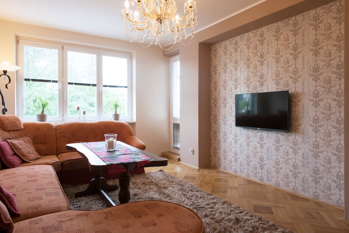 Cozy Flat 15 Min From Airport+center, Parking Free - Prague Václav Havel Airport (PRG)