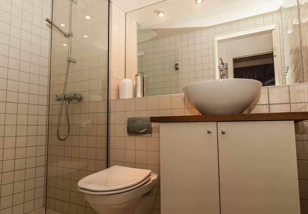 Spacious bathroom with big shower