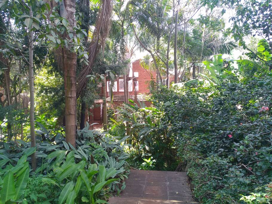 You cannot believe this is the center of Nairobi !