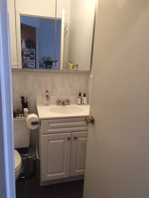 Bathroom // shower and full tub