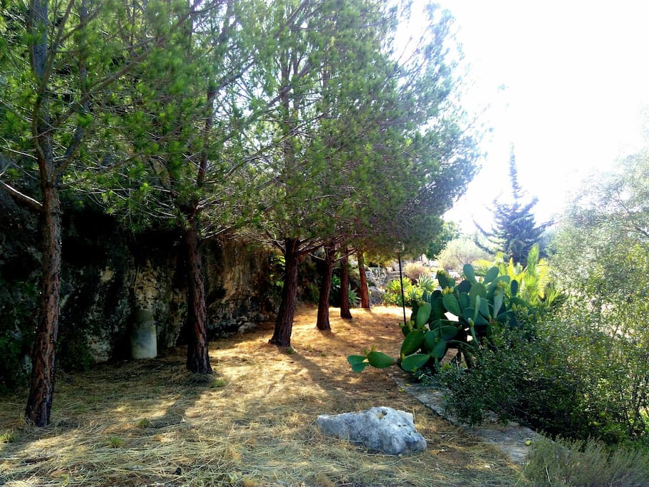 Parco