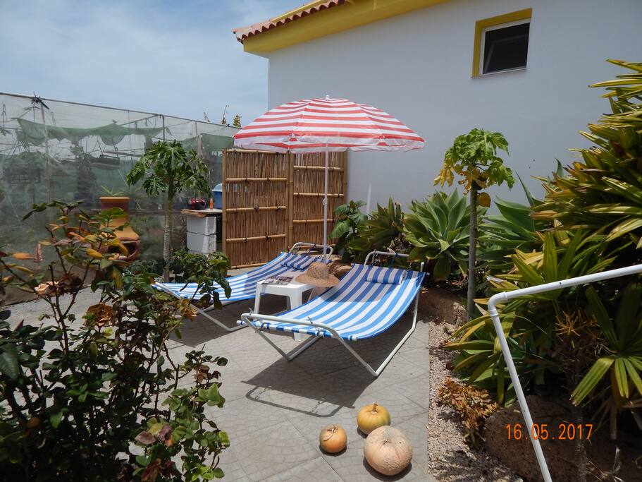 Sonnige Südterrasse