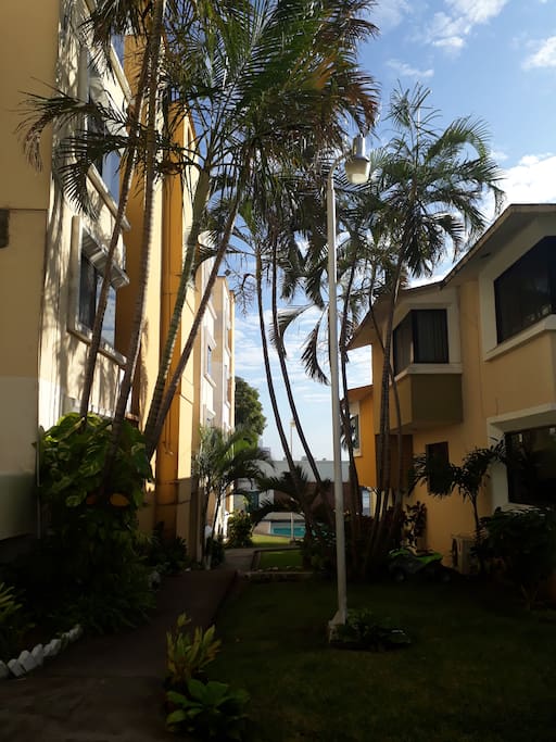 Bello corredor entre jardines