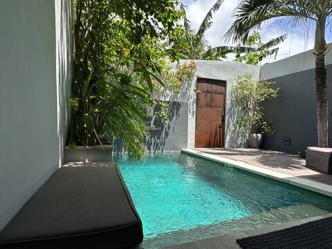 Pool Villa, One BDR - Between Seminyak & Canggu.