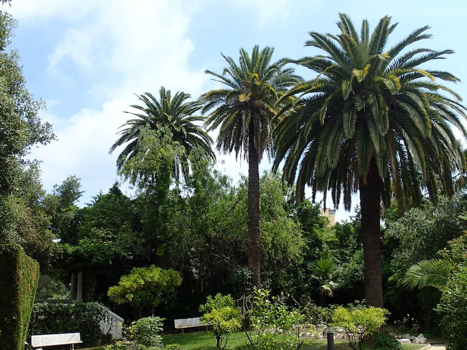 Garten mit Pavillon