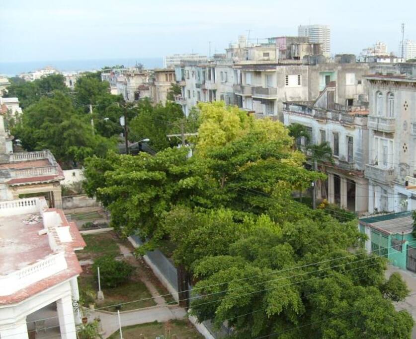 Our North View