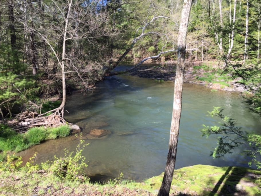 Cottage Backyard..The Sawkill River