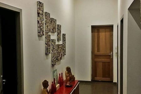 Grande chambre pour vous, dans bel appartement