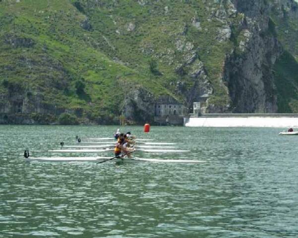 Fresh Stay in Palermo