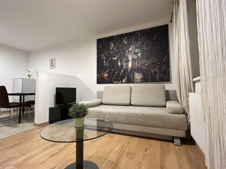 Wellsituated comfortable apartment Condominiums for Rent in Vienna