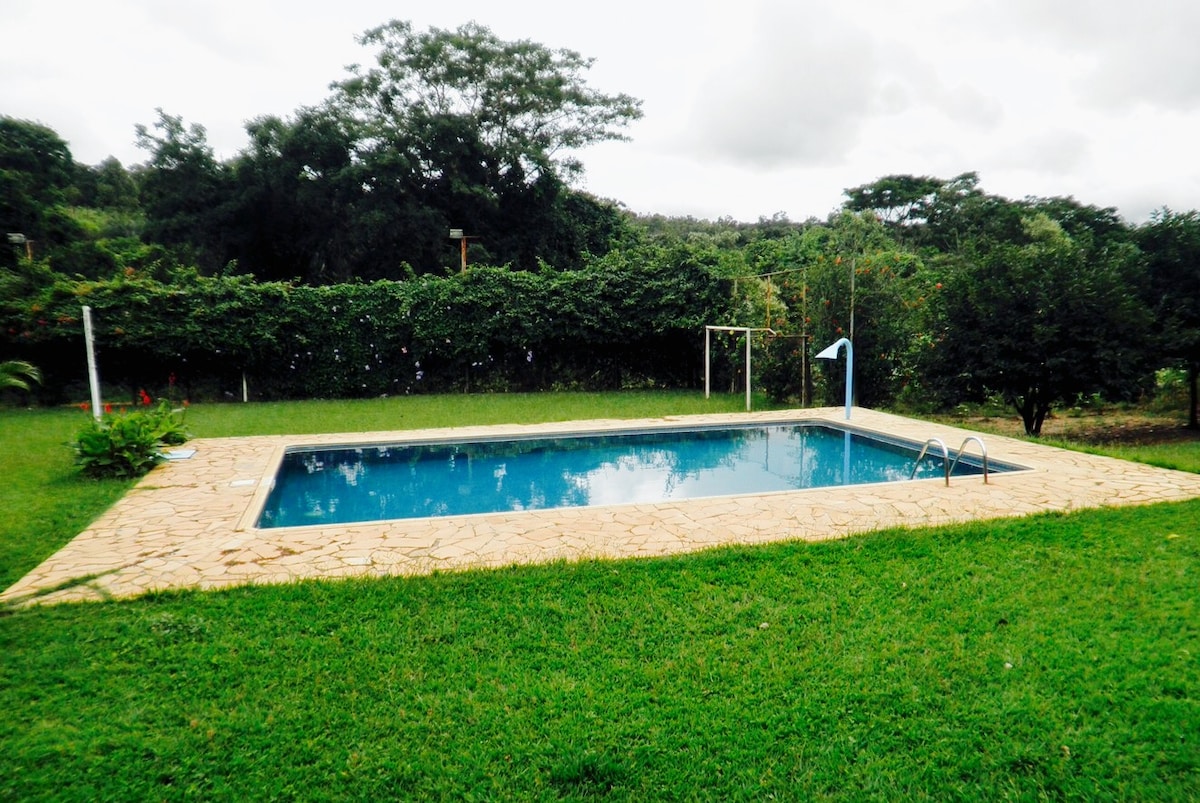 A rectangular swimming pool is set in a spacious green lawn, surrounded by trees and shrubs. The pool features a light blue surface and a stone border, with a diving board and steps leading into the water. The tranquil outdoor setting is complemented by natural greenery.