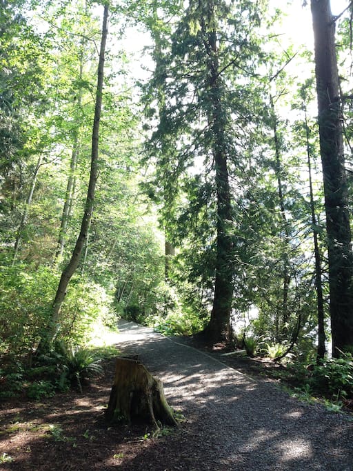 Cates Park, Forest Trails for running, walking you dog etc