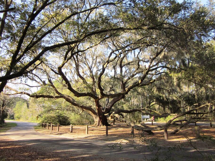Entrance to secluded neighborhood