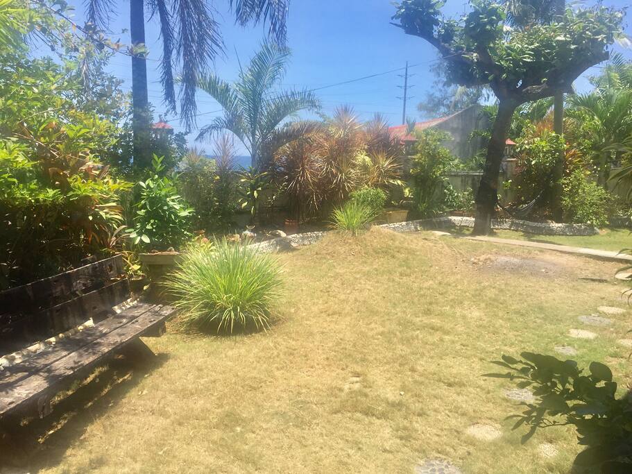 Frontyard