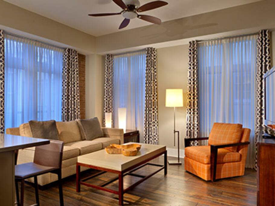 Living area with Sleeper Sofa
