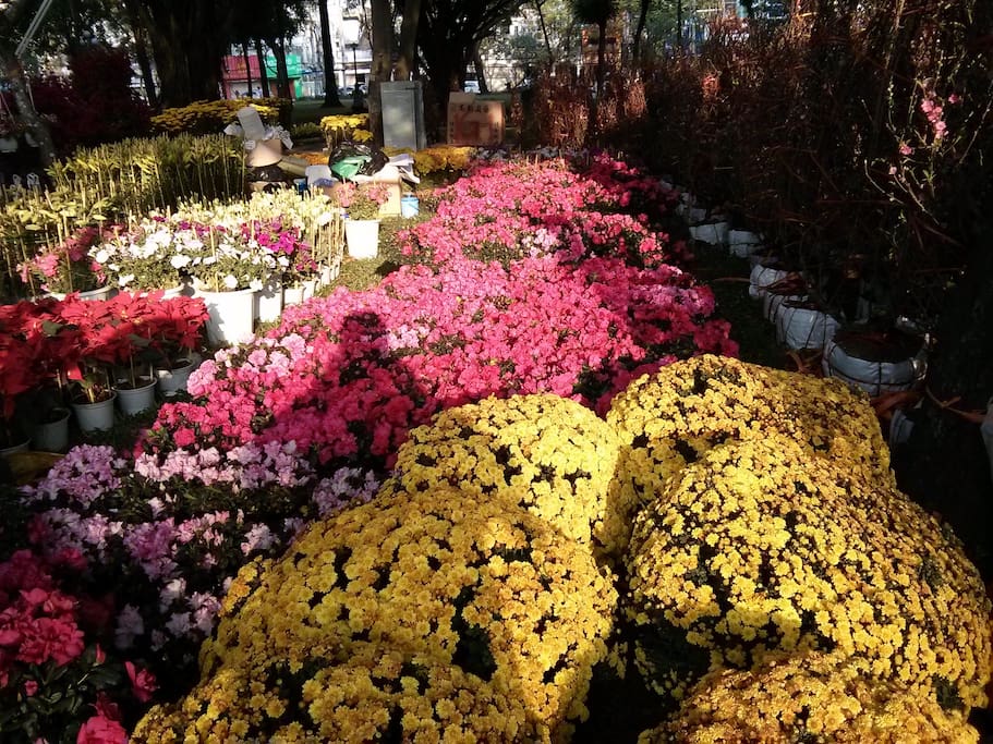 Flower market during Tet. 5 mins from home