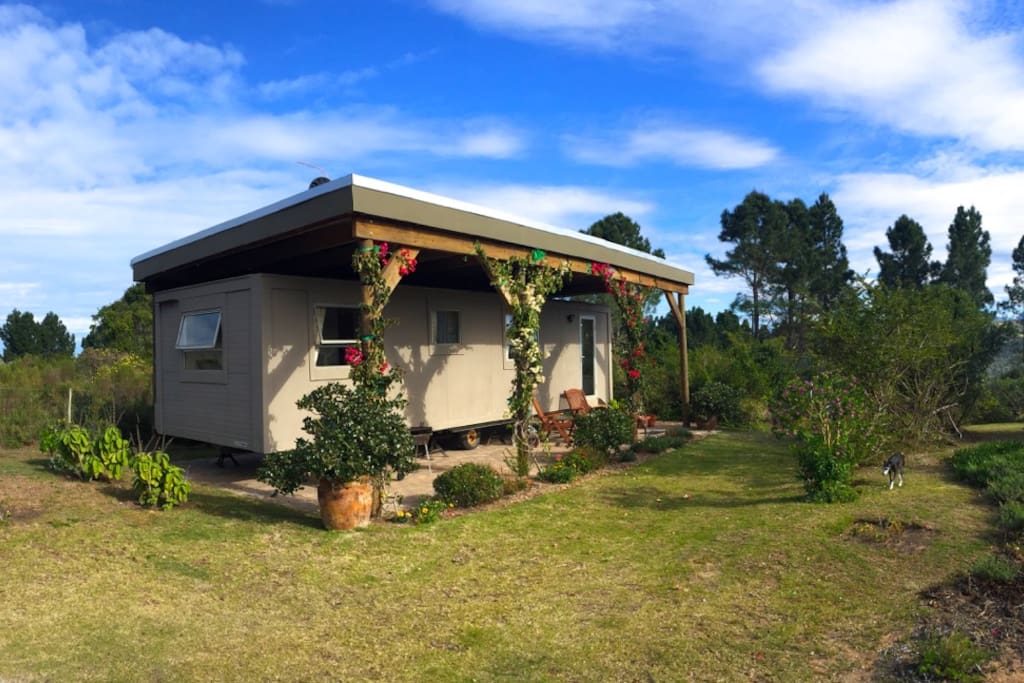 The cabin set in 1.2 hectares of fynbos.