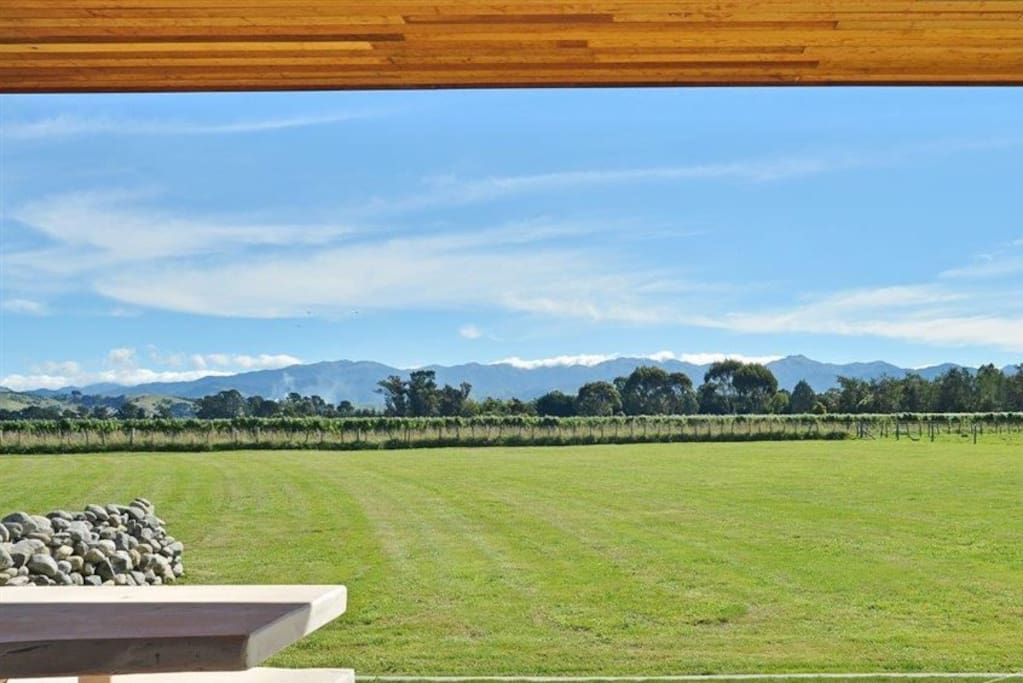 Mountain and vineyard view