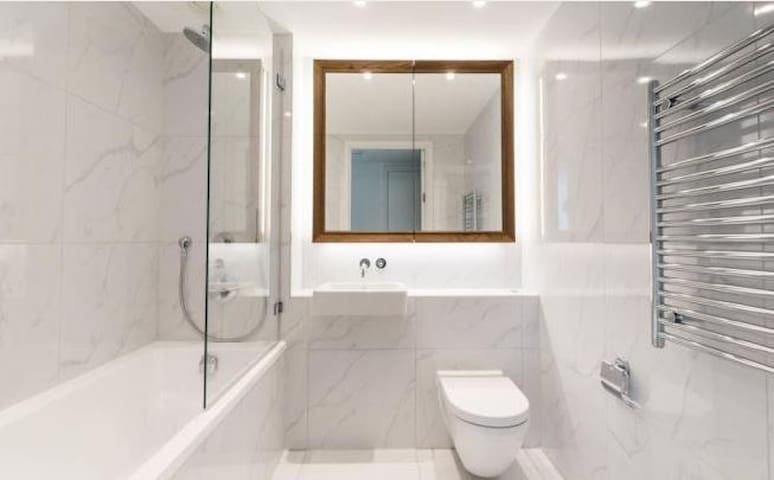 Central London Apartment