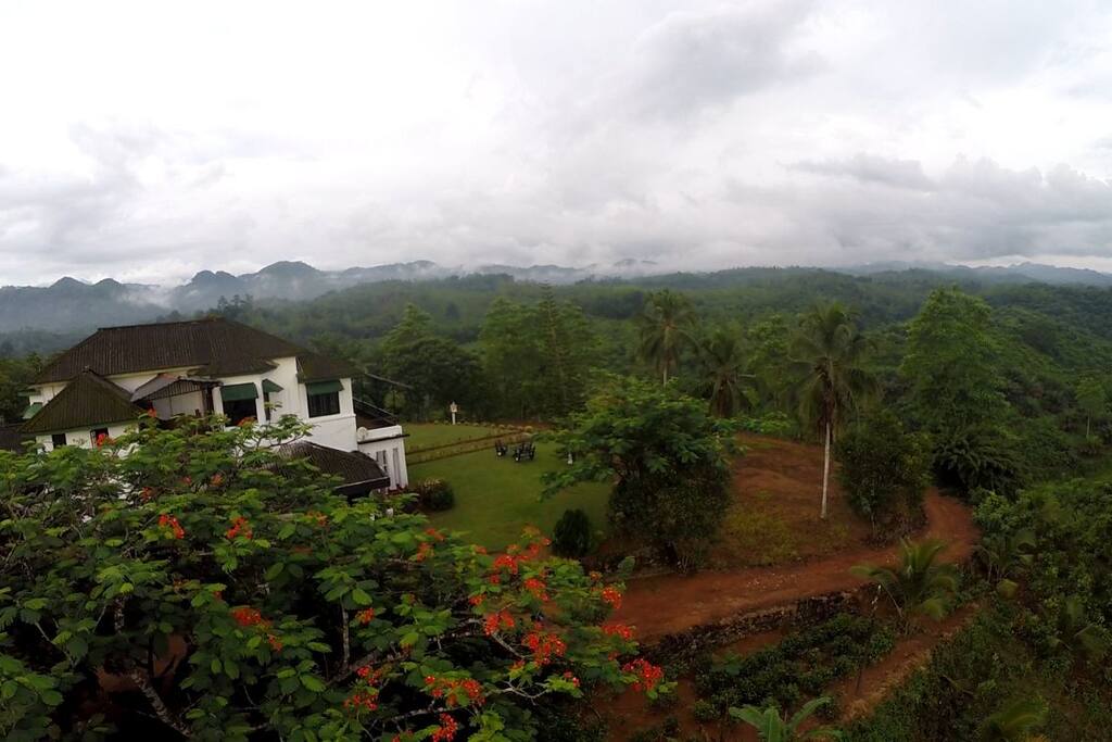 Scenic view