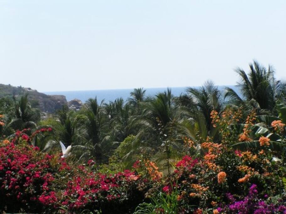 View of Paradise (The Point)