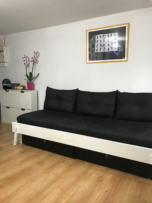 The sofa