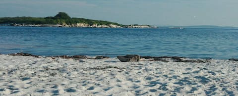 Domek na plaży Long Island: Pułapka na homary