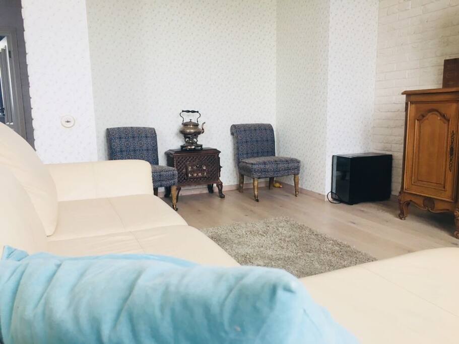 A large, comfy sofa. Also can be extended into a full bed.