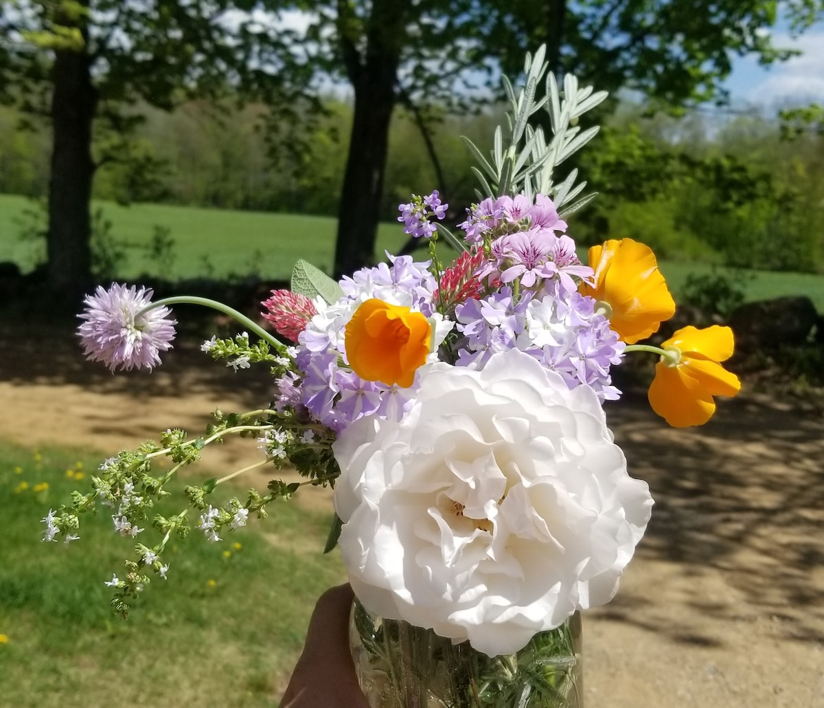 A bouquet of wildflowers is held in a glass jar, featuring vibrant orange poppies, soft lavender blooms, and a large white flower. Lush green fields and trees provide a serene backdrop, enhancing the natural beauty of the arrangement.