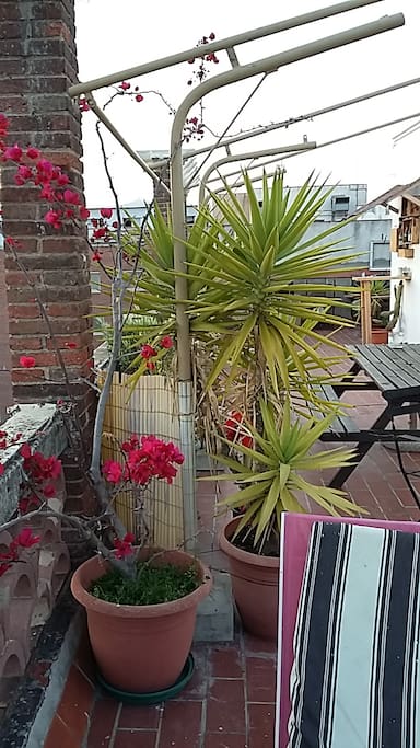 Relaxing terrace