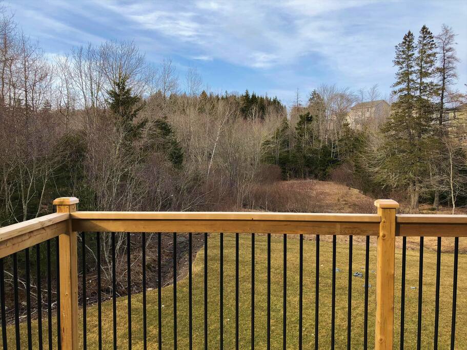 Backyard & deck