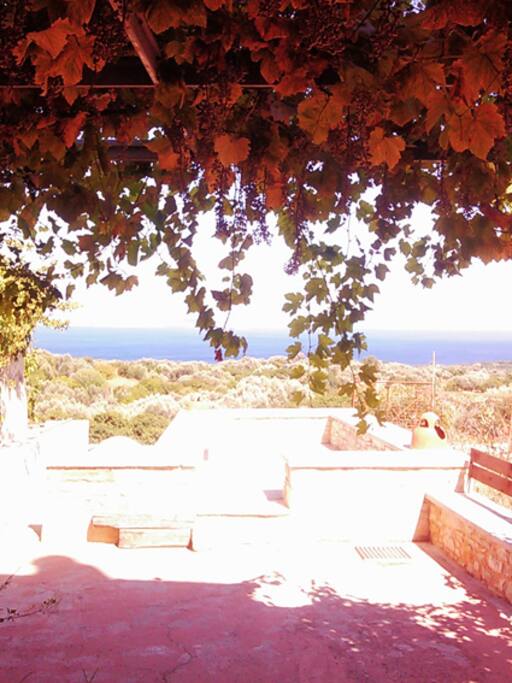 Yard, sea view