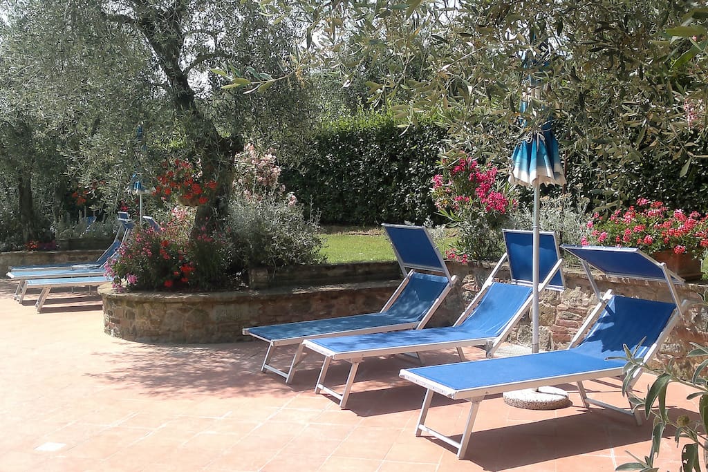 PISCINA TRA GLI ULIVI