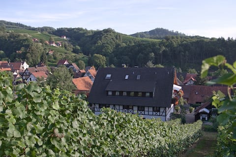 Popular Airbnb listing: Beautiful apartment overlooking the vineyards in Sasbachwalden